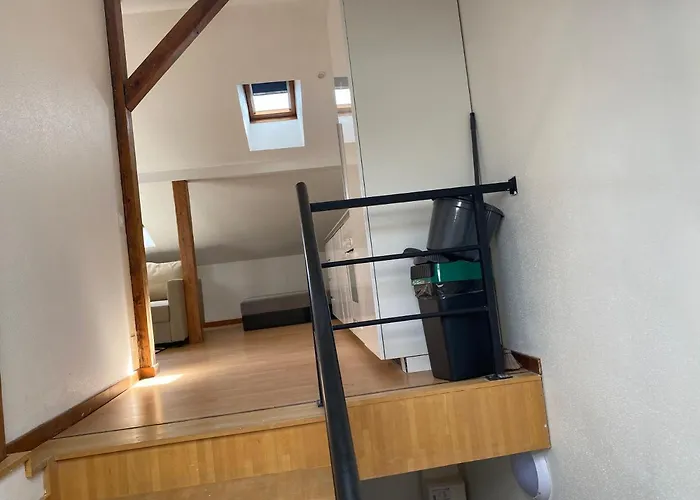 Petit 401 Mülhausen