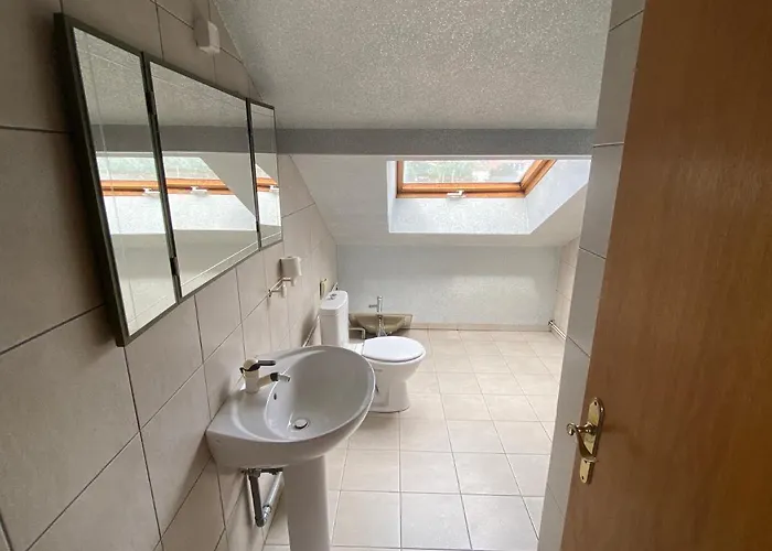 Petit 401 * Mülhausen