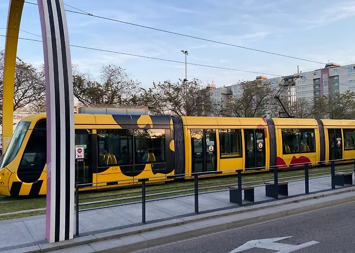Petit 401 Apartment Mülhausen