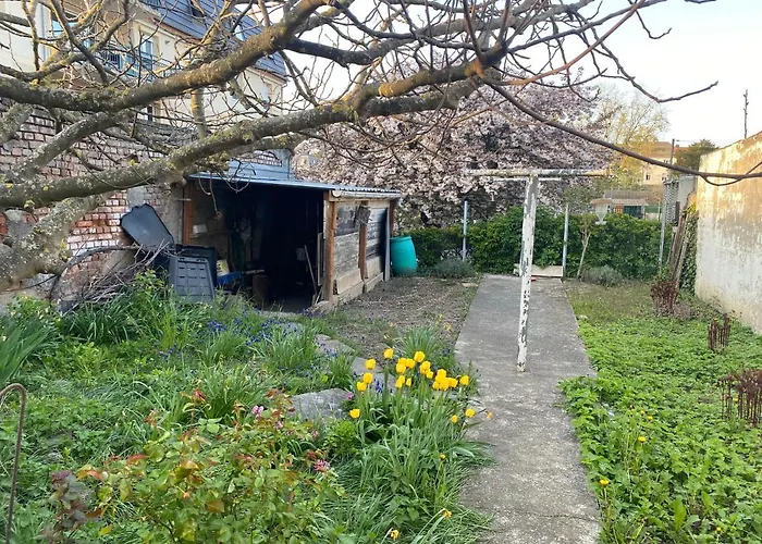 Petit 401 Mülhausen