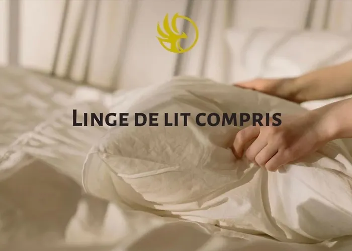 Apartment Petit 401 Mülhausen