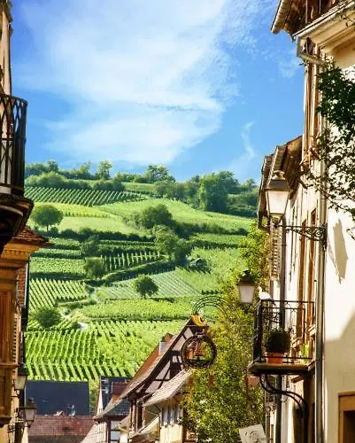 Petit 401 Mülhausen